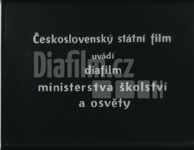 Jak se měnila zvířena v průběhu věků