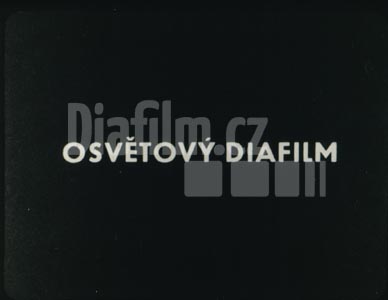 Mezinárodní den žen
